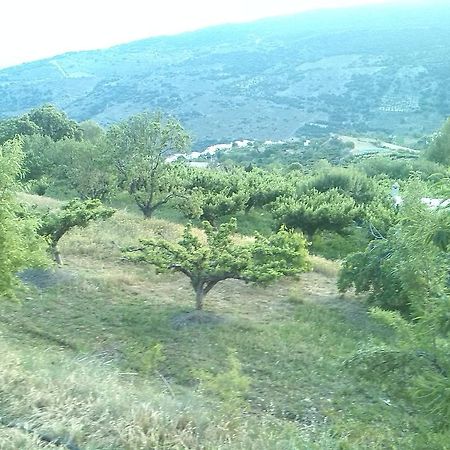 El Castanuelo Bayarcal Bagian luar foto