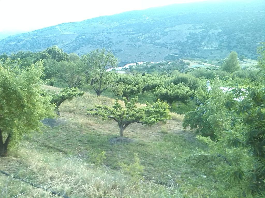 El Castanuelo Bayarcal Bagian luar foto