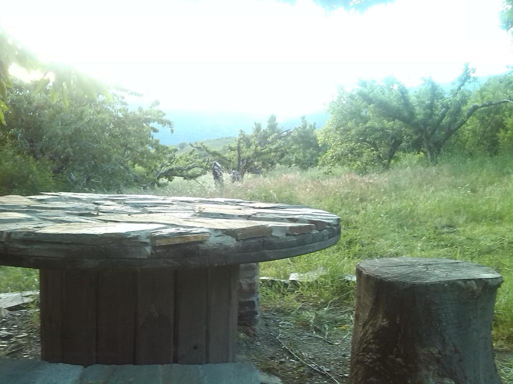 El Castanuelo Bayarcal Bagian luar foto